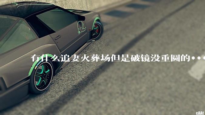 有什么追妻火葬场但是破镜没重圆的***？