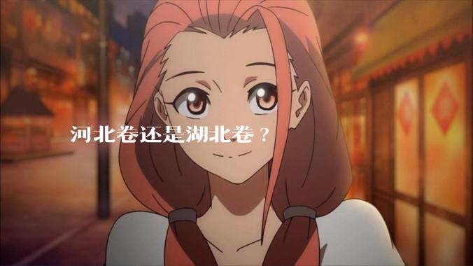 河北卷还是湖北卷?