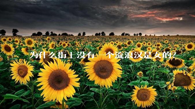 为什么街上没有一个流浪汉是女的？