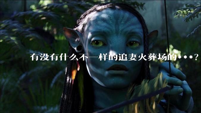 有没有什么不一样的追妻火葬场的***？