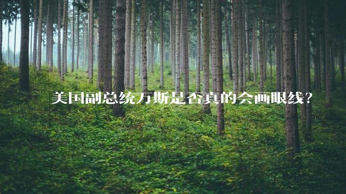 美国副总统万斯是否真的会画眼线？